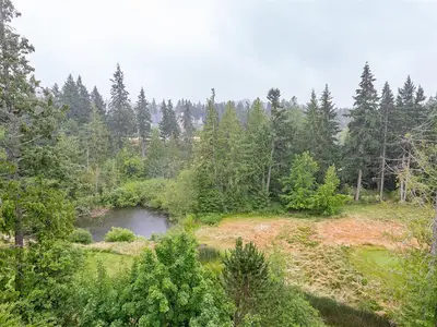 View 33