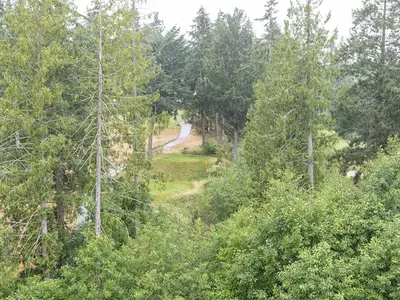 View 35