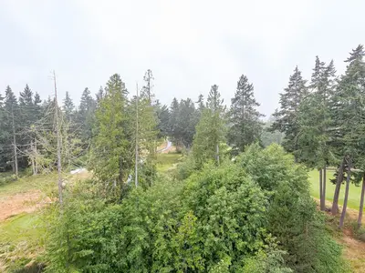 View 31
