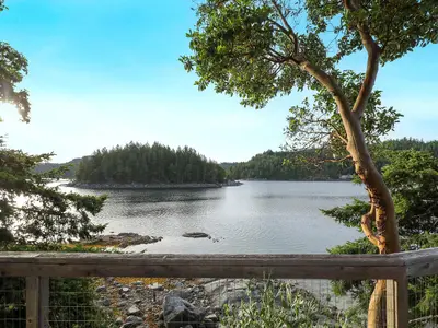 View 49