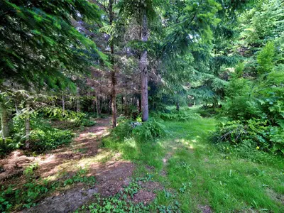 View 36