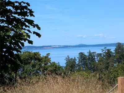 View 6