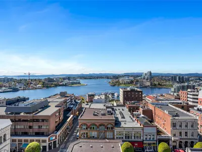 View 49