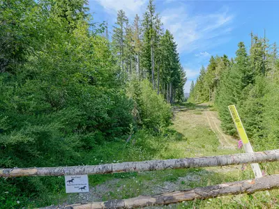 View 97