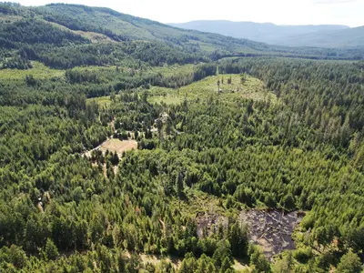 View 7