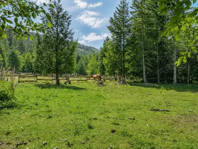View 65