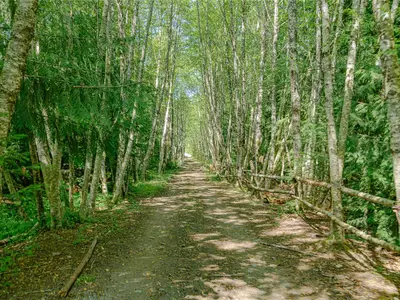 View 82