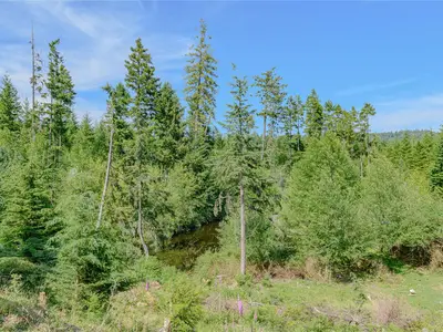 View 60