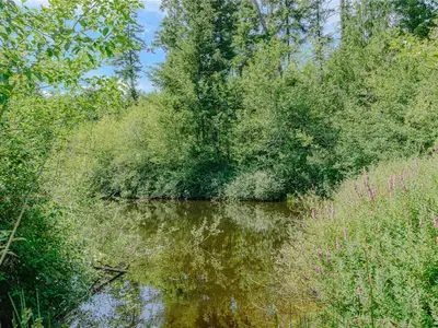 View 78