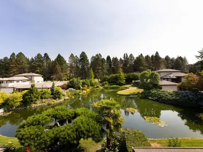 View 30