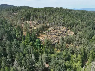 View 6