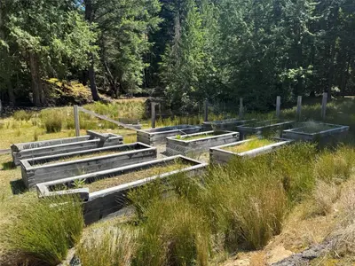 View 41