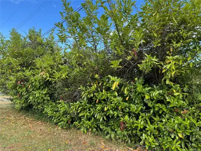View 16
