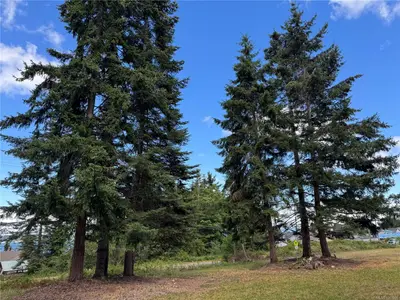 View 7