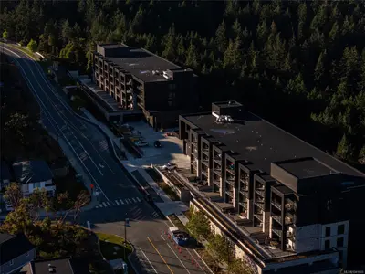 View 38