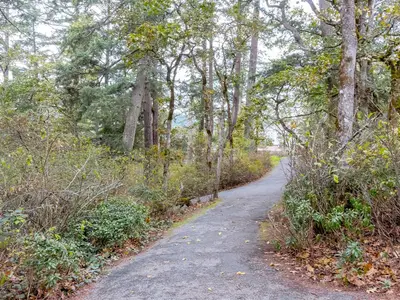 View 46