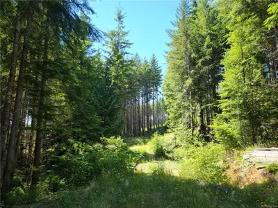 View 7