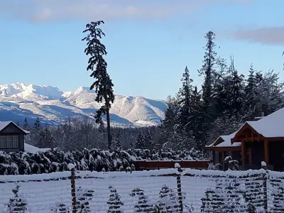 View 14