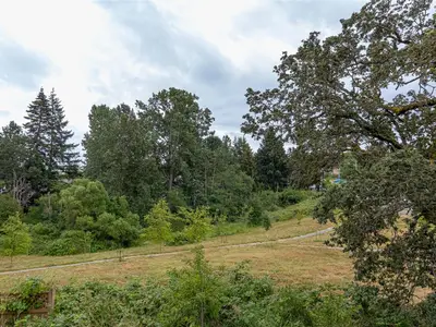 View 16