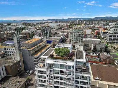 View 27