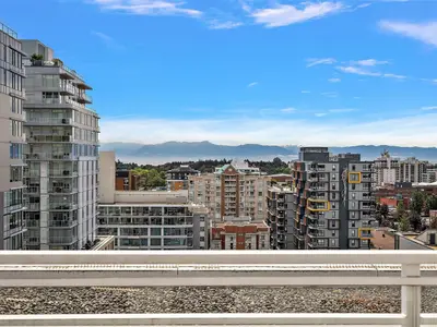 View 21