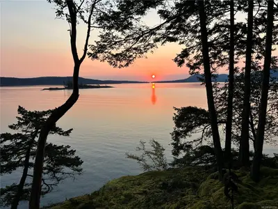 View 58
