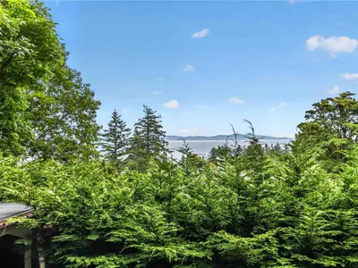 View 65