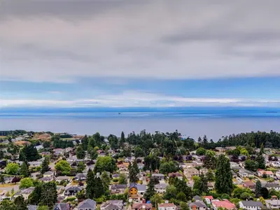 View 31