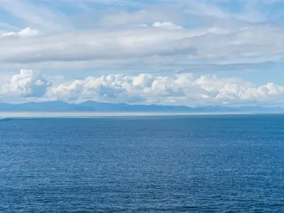 View 21