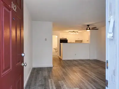 View 31