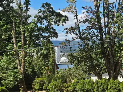 View 49