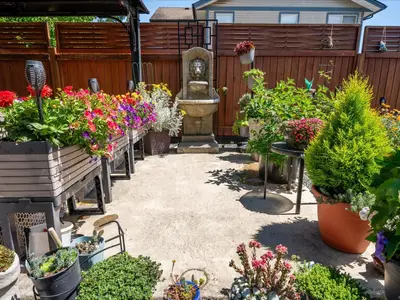 View 36
