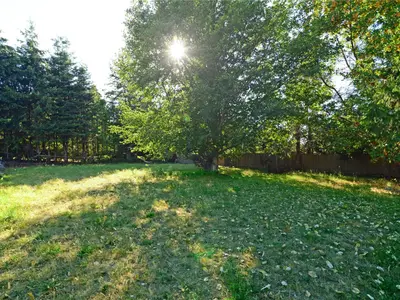 View 10