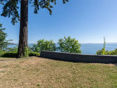 View 51