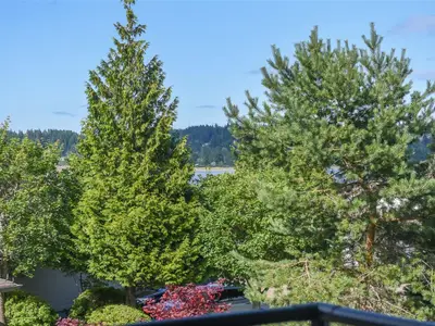 View 41