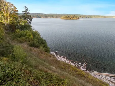 View 37