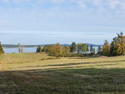 View 39