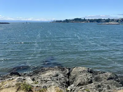View 34