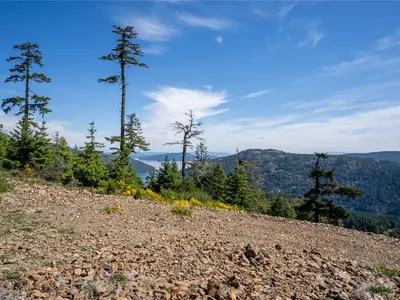 View 45