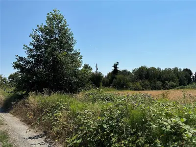 View 17