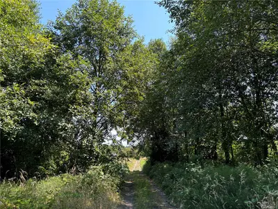 View 19