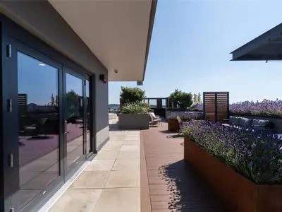 View 32