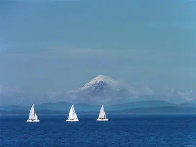View 16