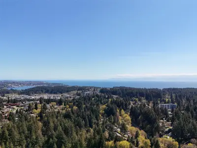 View 33