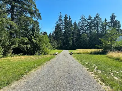 View 28