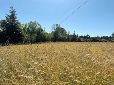 View 30