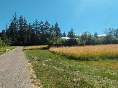 View 29