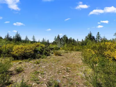 View 16