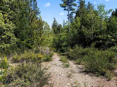 View 19