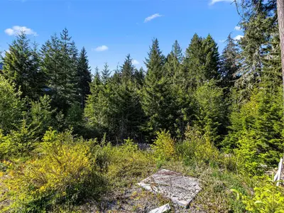 View 21